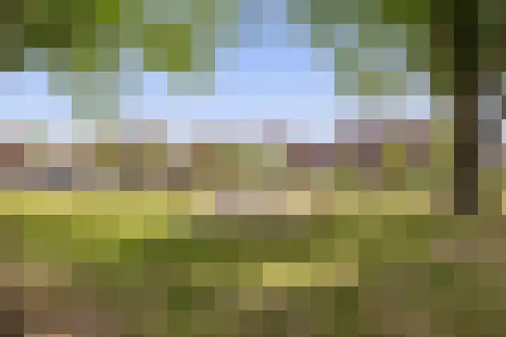 Steenbok 13 Hellevoetsluis thumbnail 47