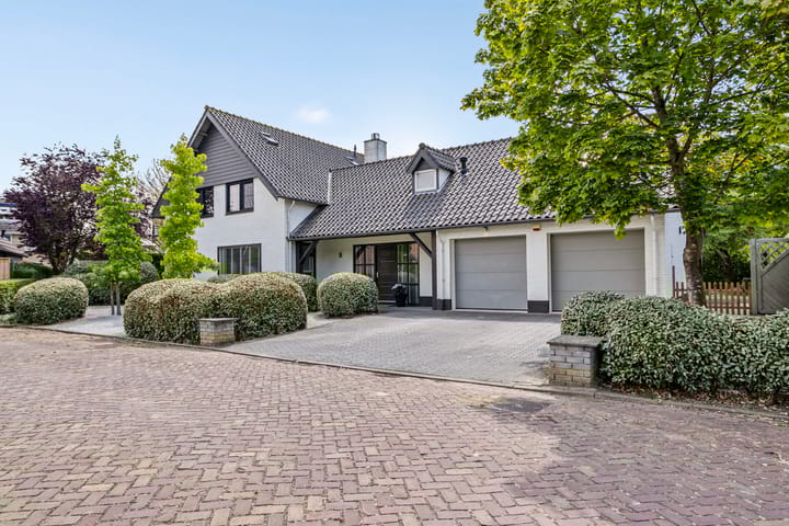 Steenbok 5 in Oostburg foto