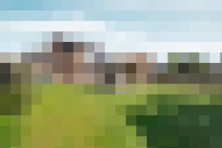 Steendalerstraat 75 Gennep thumbnail 4