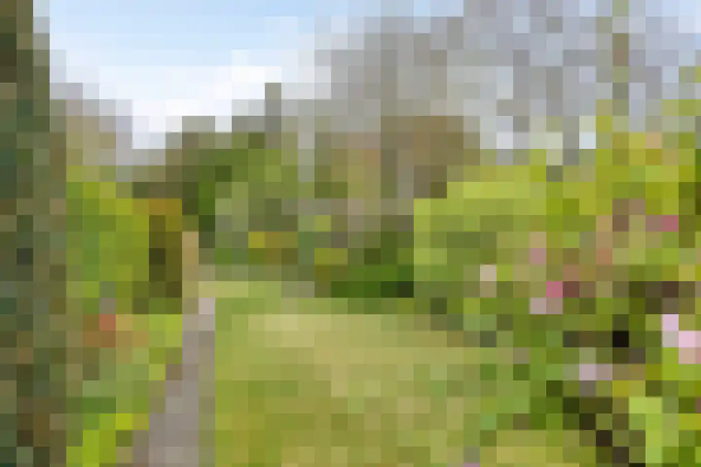Steendijk 175 Assen thumbnail 22