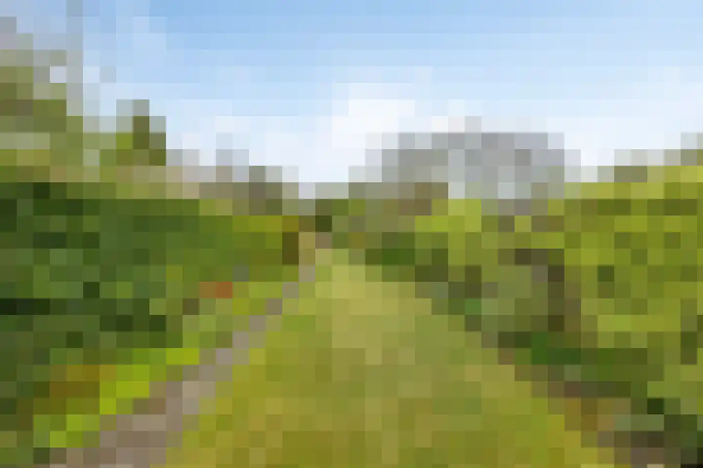 Steendijk 175 Assen thumbnail 23