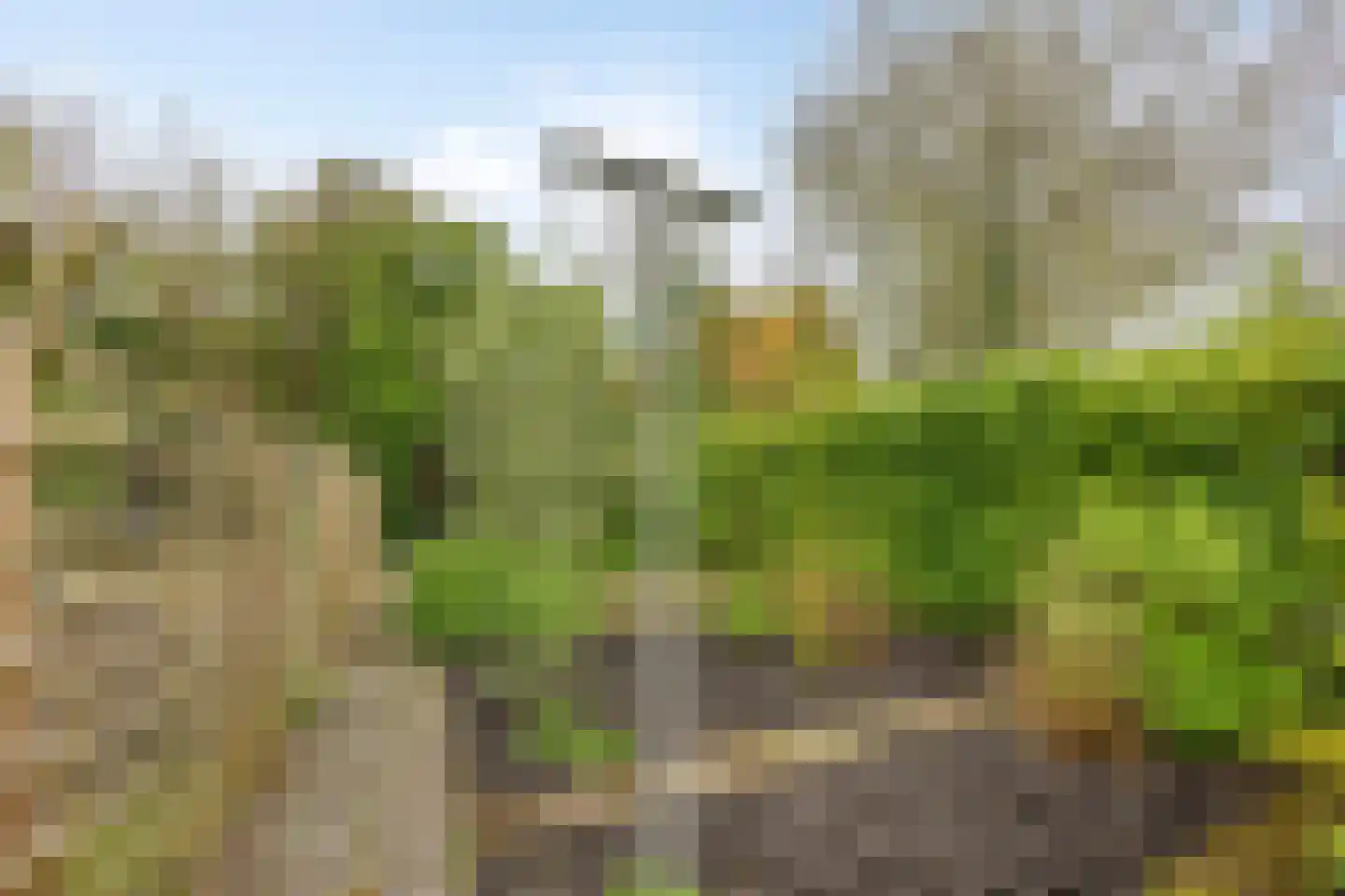 Steendijk 175 Assen thumbnail 24