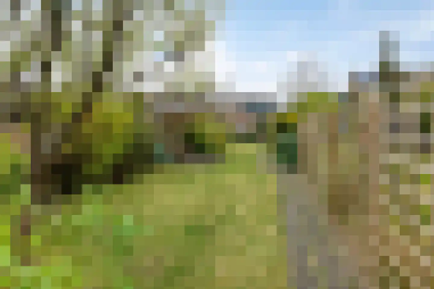 Steendijk 175 Assen thumbnail 26