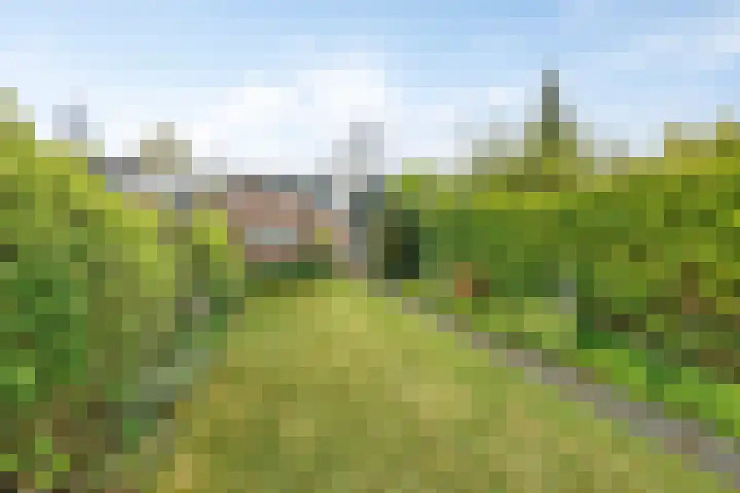 Steendijk 175 Assen thumbnail 28