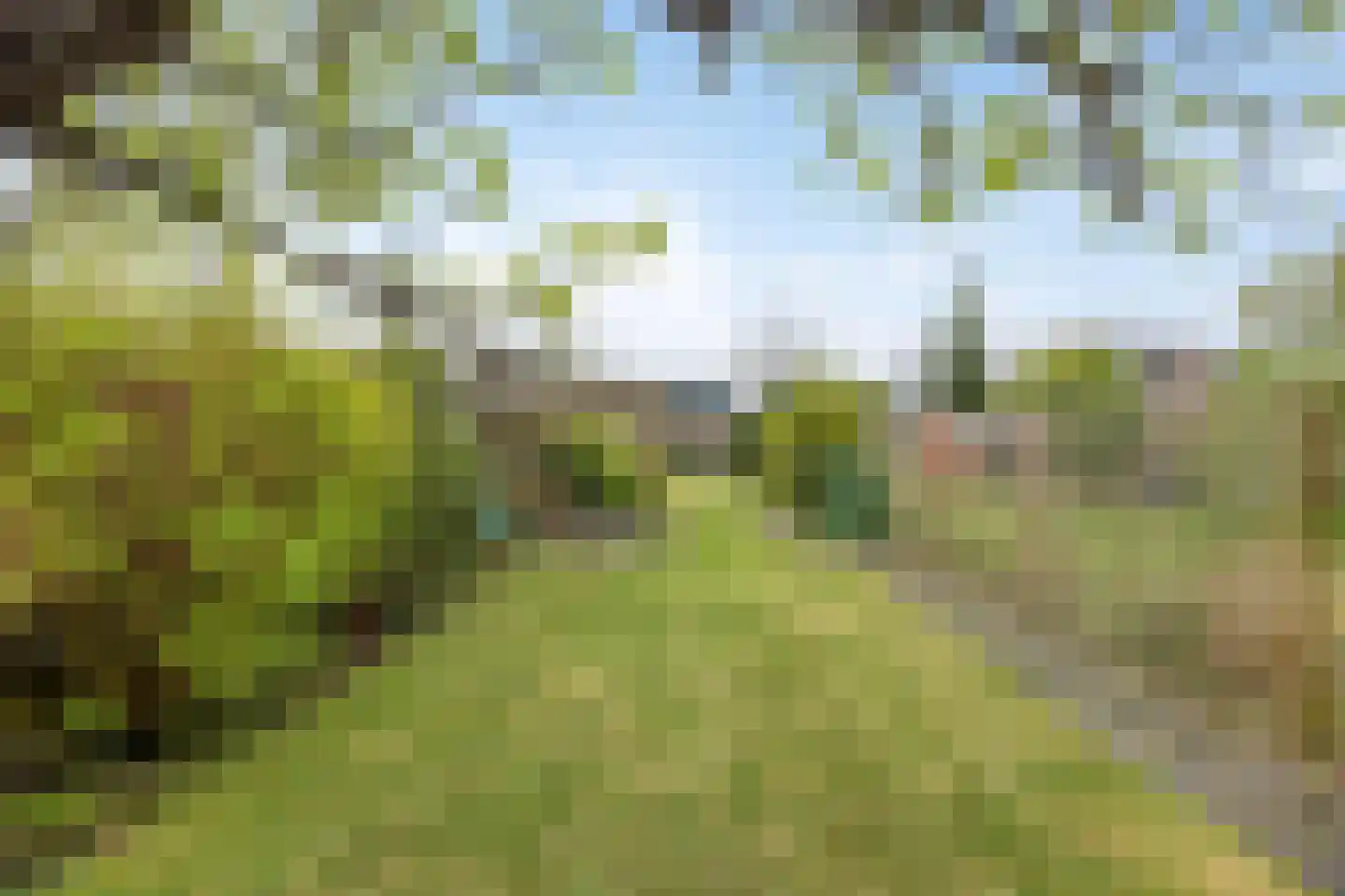 Steendijk 175 Assen thumbnail 29