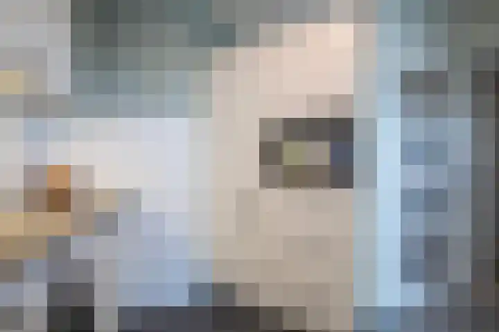 Steendijk 83 Assen thumbnail 10