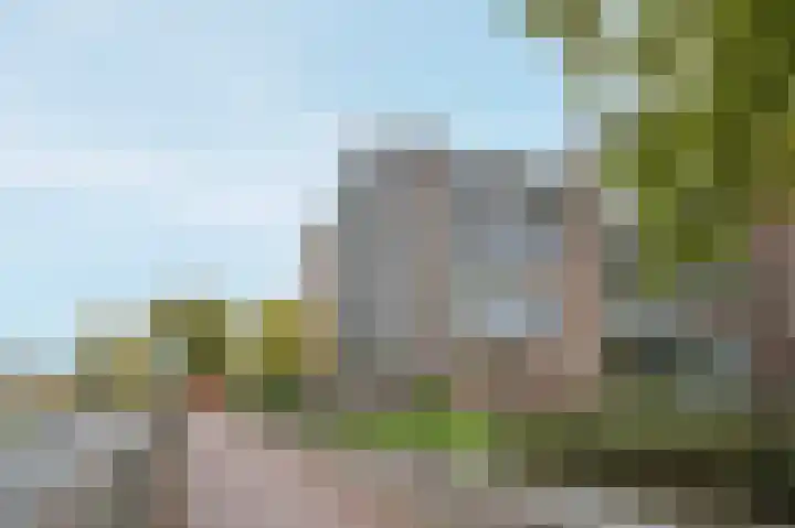 Steendijk 83 Assen thumbnail 27