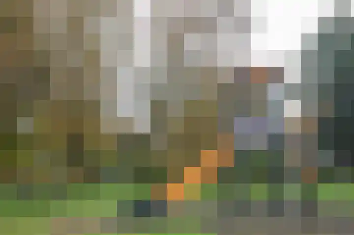 Steendijk 83 Assen thumbnail 30