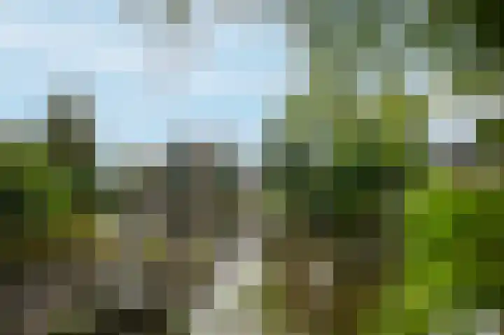 Steendijk 83 Assen thumbnail 31
