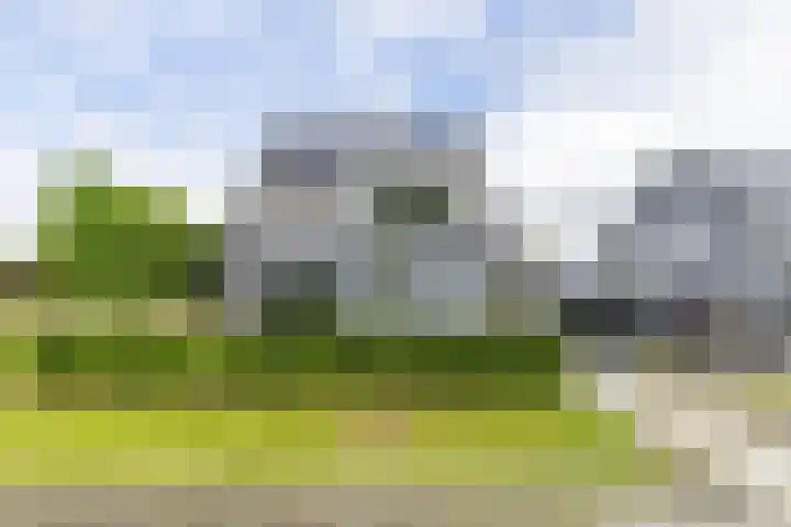 Steendobbe 1 Zuidlaren thumbnail 11