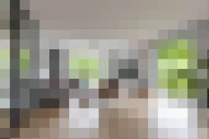 Steendobbe 1 Zuidlaren thumbnail 25