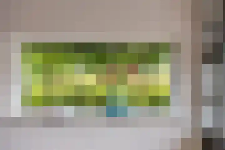 Steendobbe 1 Zuidlaren thumbnail 29