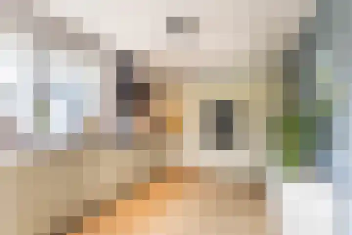 Steendobbe 1 Zuidlaren thumbnail 33