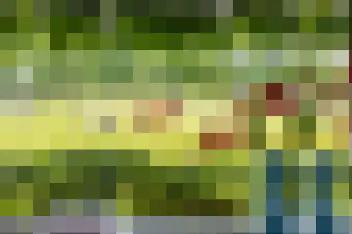 Steendobbe 1 Zuidlaren thumbnail 39
