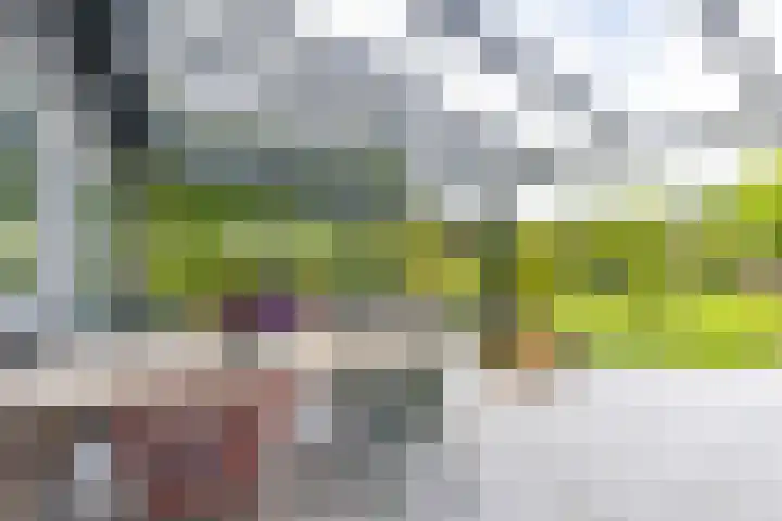 Steendobbe 1 Zuidlaren thumbnail 41