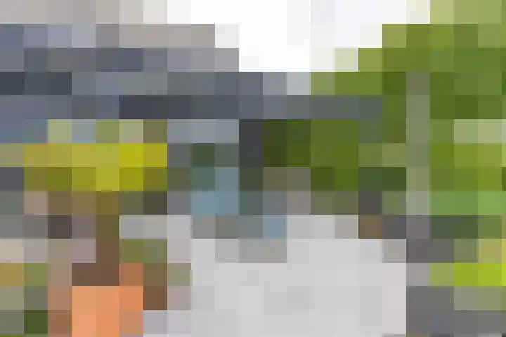 Steendobbe 1 Zuidlaren thumbnail 43