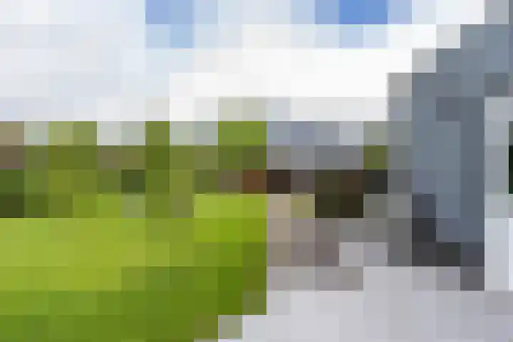 Steendobbe 1 Zuidlaren thumbnail 46