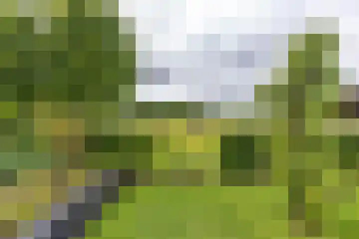 Steendobbe 1 Zuidlaren thumbnail 47