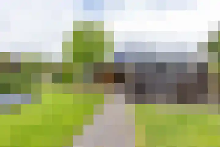 Steendobbe 1 Zuidlaren thumbnail 49