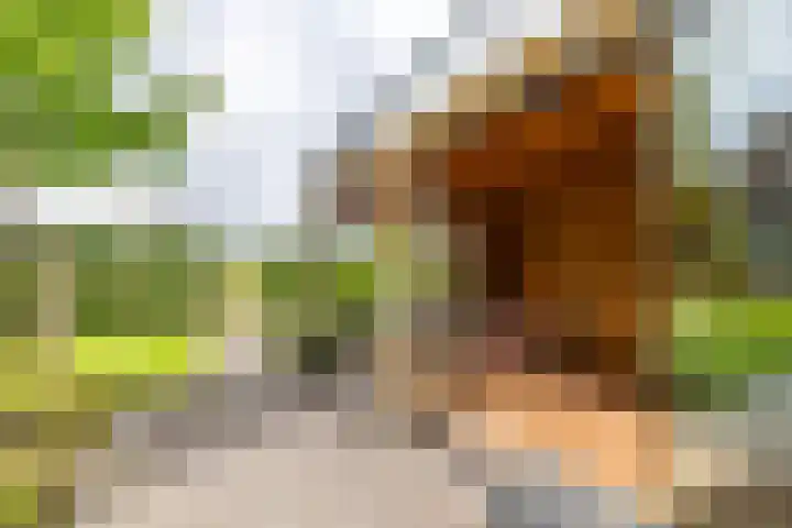 Steendobbe 1 Zuidlaren thumbnail 53