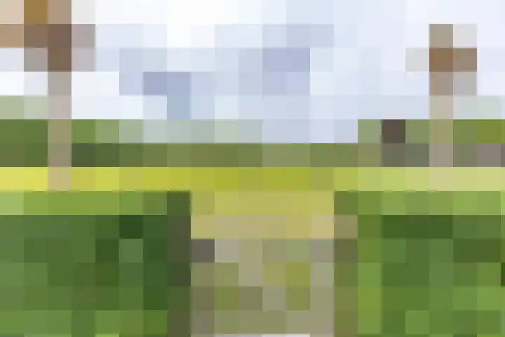 Steendobbe 1 Zuidlaren thumbnail 54