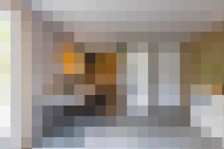 Steendobbe 1 Zuidlaren thumbnail 60