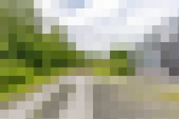 Steendobbe 1 Zuidlaren thumbnail 7
