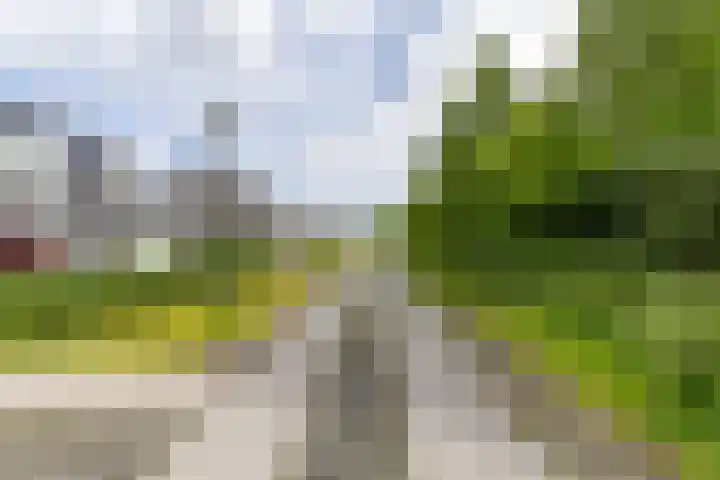 Steendobbe 1 Zuidlaren thumbnail 8