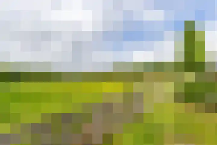 Steendobbe 1 Zuidlaren thumbnail 80