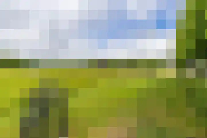 Steendobbe 1 Zuidlaren thumbnail 81