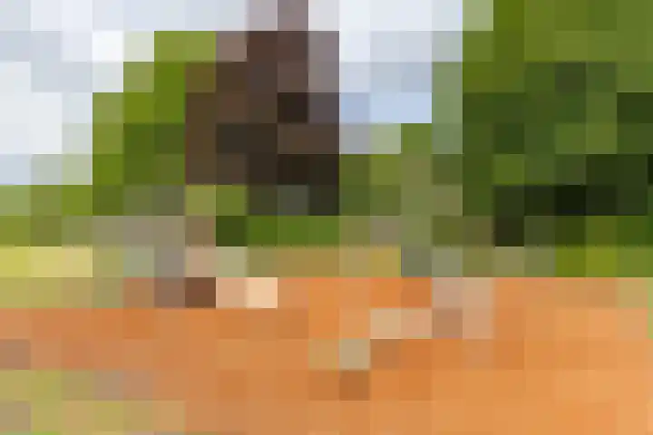 Steendobbe 1 Zuidlaren thumbnail 83
