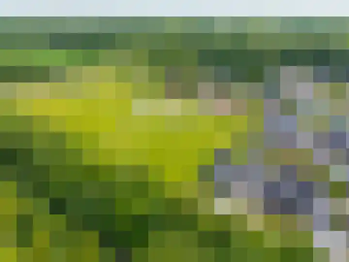 Steendobbe 1 Zuidlaren thumbnail 85
