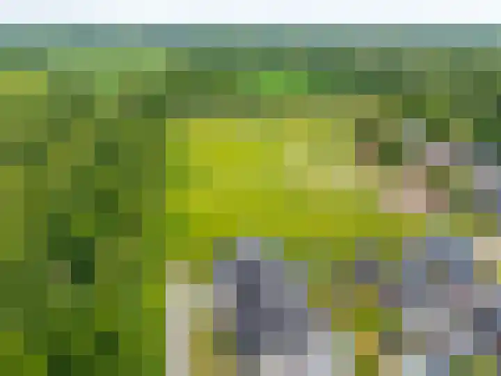 Steendobbe 1 Zuidlaren thumbnail 87
