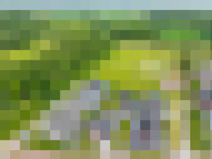 Steendobbe 1 Zuidlaren thumbnail 88