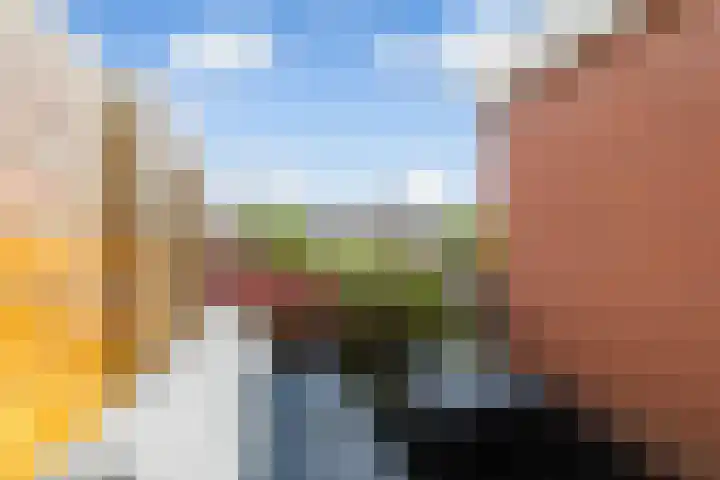 Steenen Dijck 65 Maassluis thumbnail 13