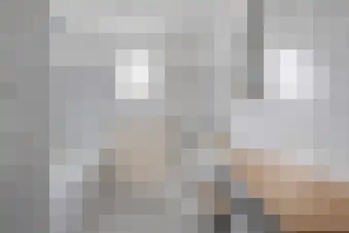 Steengraaf 20 Erp thumbnail 21
