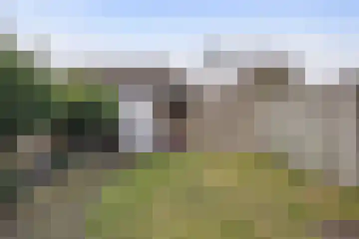 Steengraaf 20 Erp thumbnail 4