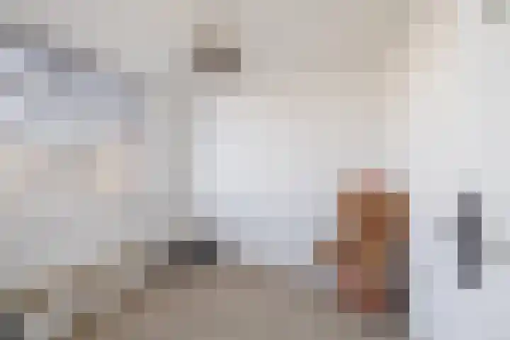 Steengracht 4 Den Helder thumbnail 16