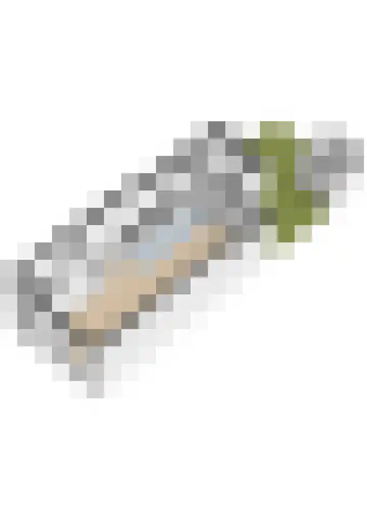 Steengracht 4 Den Helder thumbnail 27