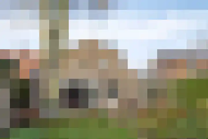 Steenheuvelsestraat 38 Leuth thumbnail 34