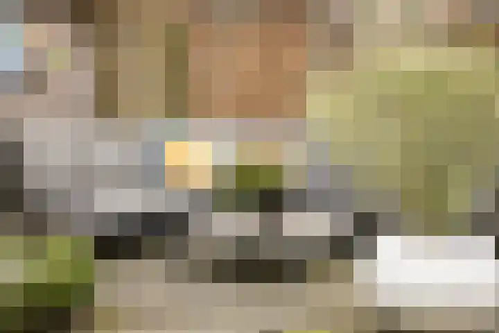Steenhouwerstraat 33 Zwolle thumbnail 35
