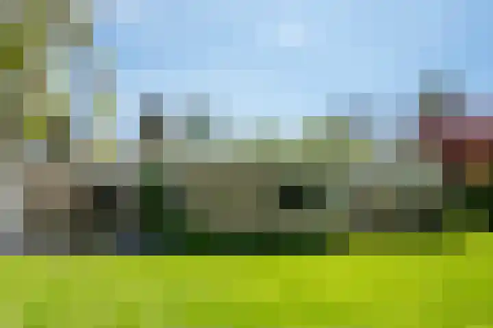 Steenkamp 5 Haren Gn thumbnail 12