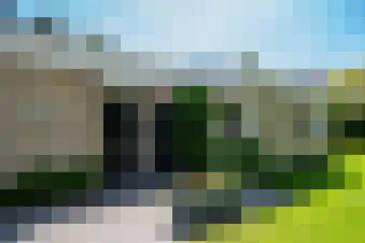 Steenkamp 5 Haren Gn thumbnail 13