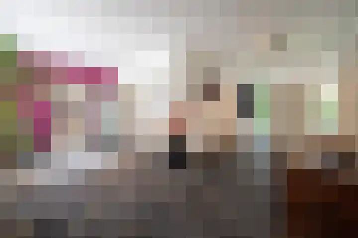 Steenkamp 5 Haren Gn thumbnail 16