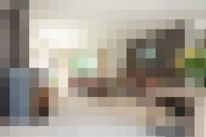 Steenkamp 5 Haren Gn thumbnail 18