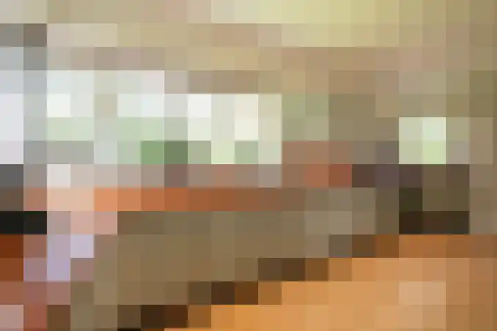 Steenkamp 5 Haren Gn thumbnail 26