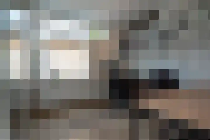 Steenkamp 5 Haren Gn thumbnail 36