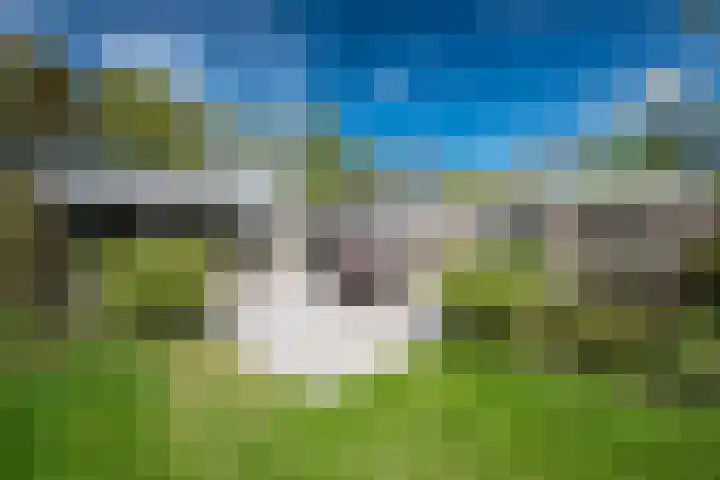 Steenkamp 5 Haren Gn thumbnail 42