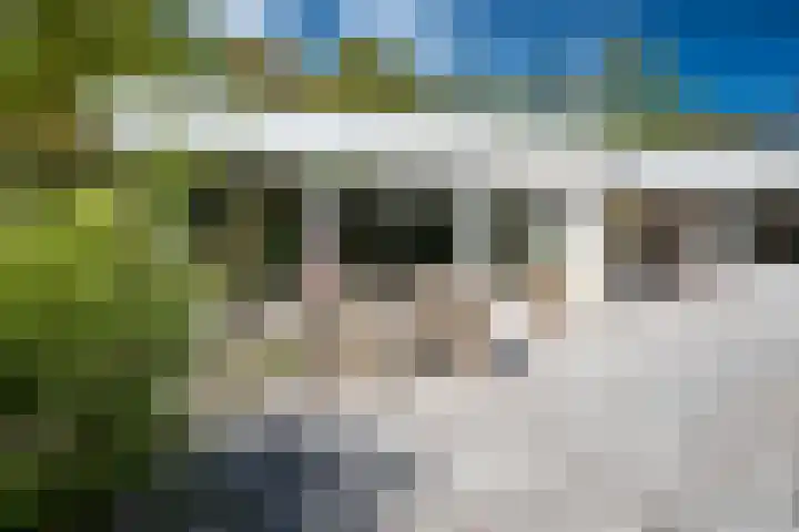 Steenkamp 5 Haren Gn thumbnail 44