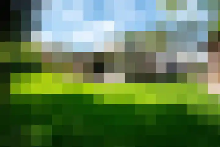 Steenkamp 5 Haren Gn thumbnail 45